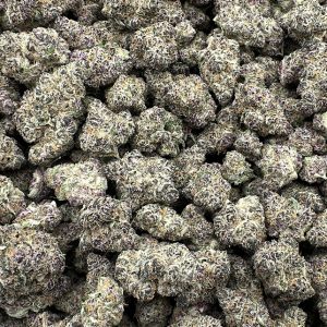 Purple Tangie