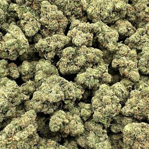 Sour Diesel Indoor Excellent Quality